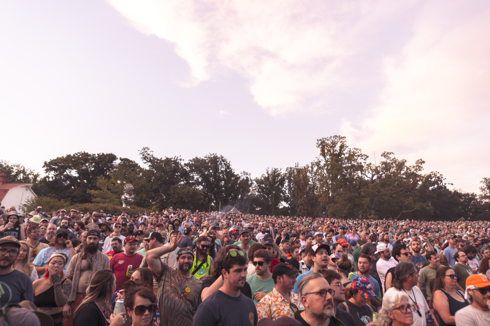 A packed lawn crowd stands shoulder to shoulder under a pink evening sky, with a line of trees behind.