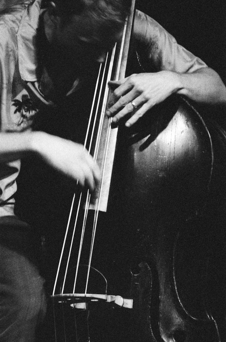 In black and white, a bassist's hands work the strings of an upright bass.