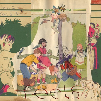 Feels by Animal Collective