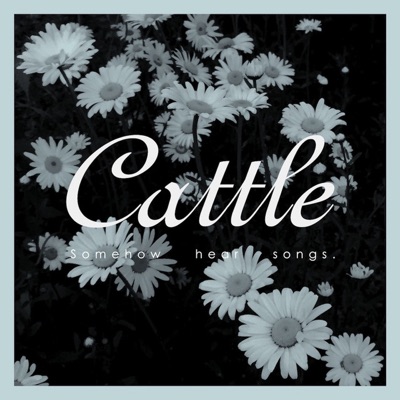 Somehow Hear Songs by Cattle