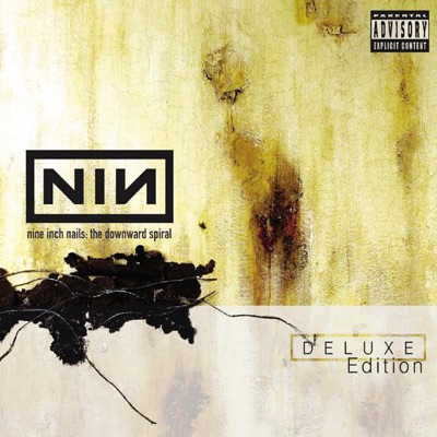 The Downward Spiral by Nine Inch Nails