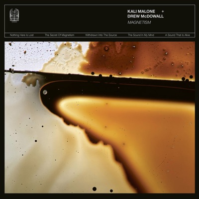 Magnetism by Kali Malone, Drew McDowall