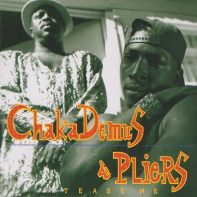 Tease Me by Chaka Demus & Pliers